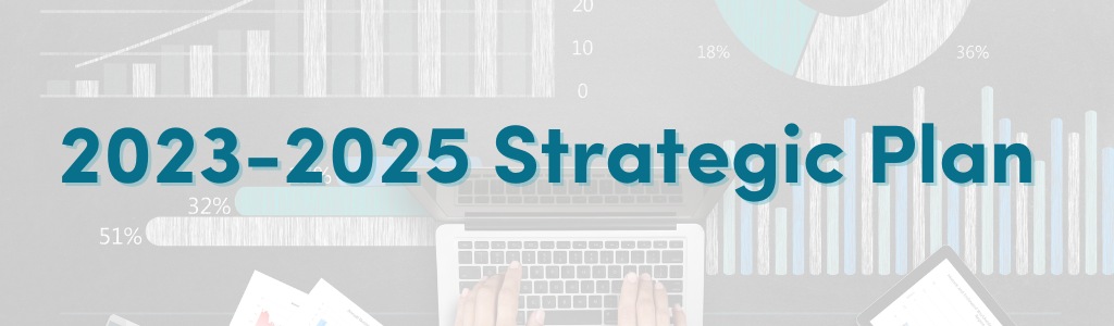 Website Strat Plan Banner