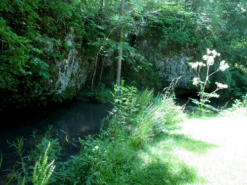 Spring Brook - Carver Roehl Park