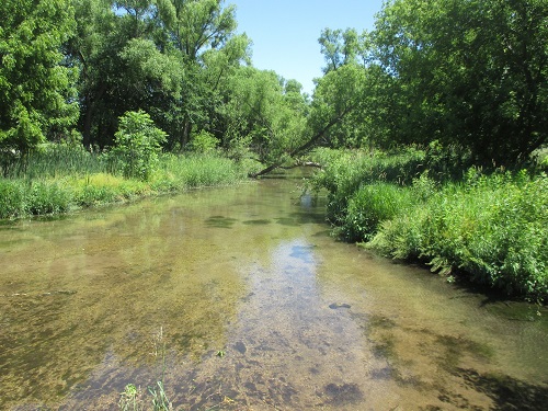 Spring Brook - Palmer Park