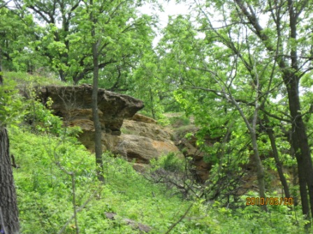 Magnolia Bluff Park